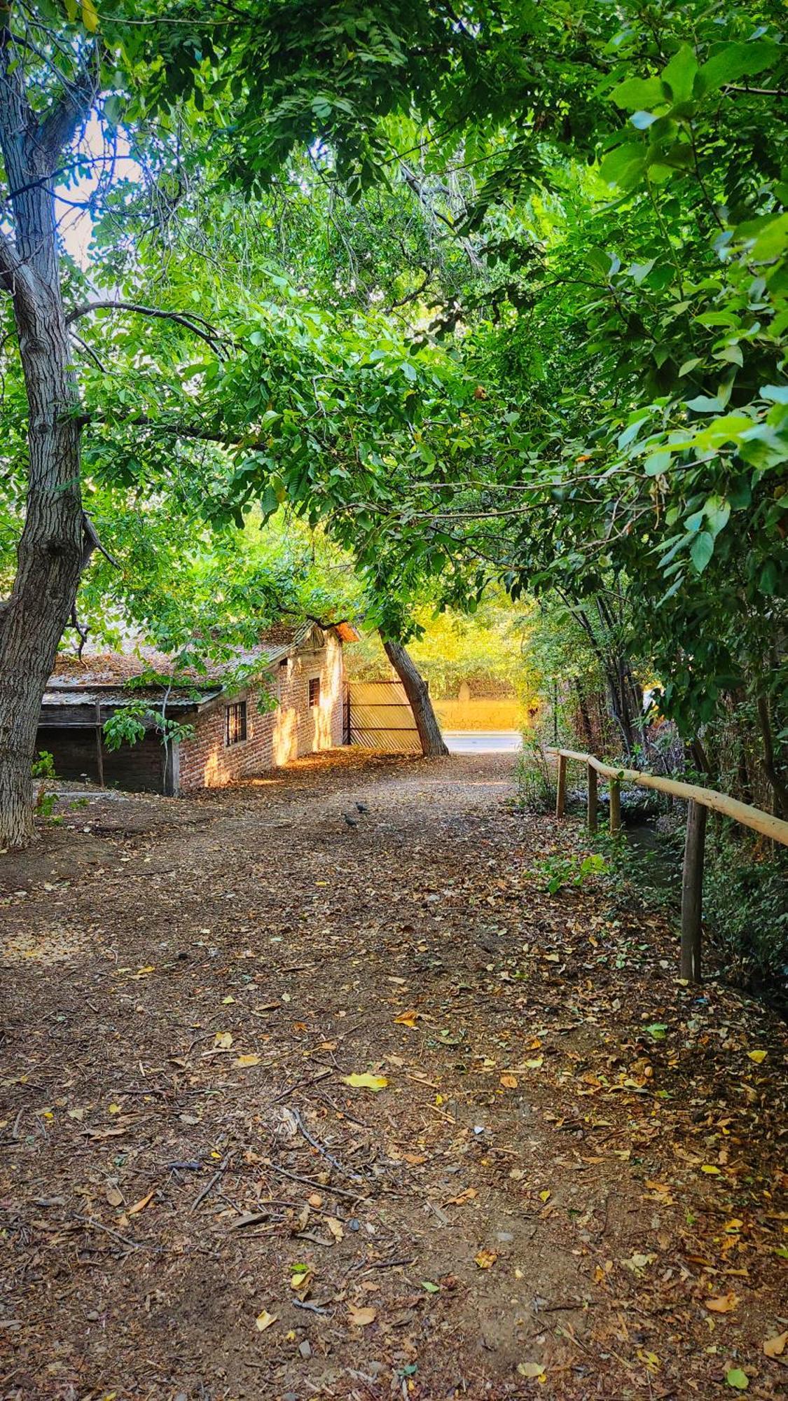 El Jardin, Eco Cabanas Boutique San Alfonso Exterior photo